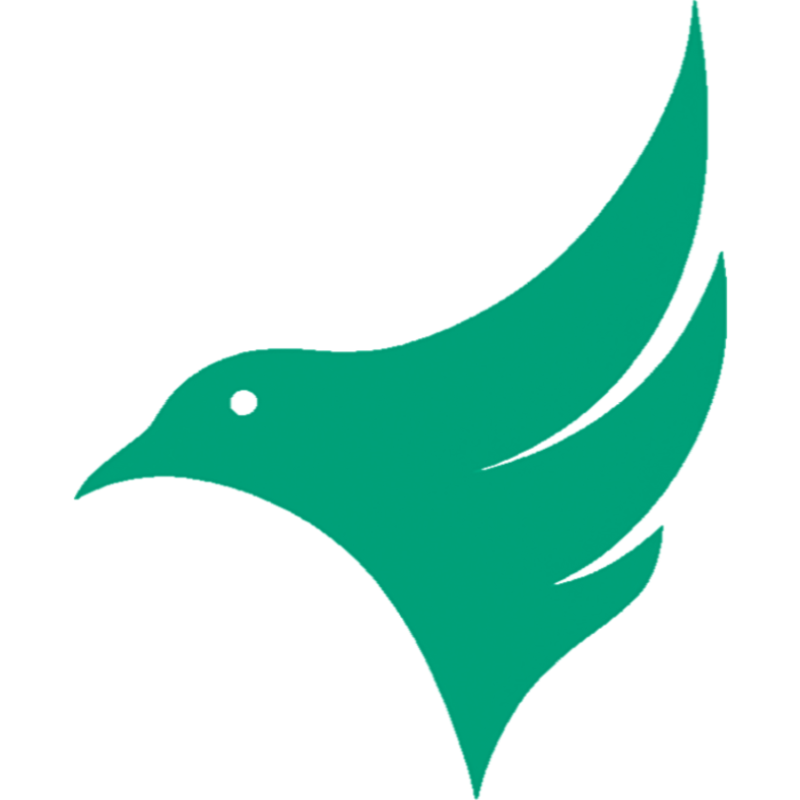 The Financial Bird logo